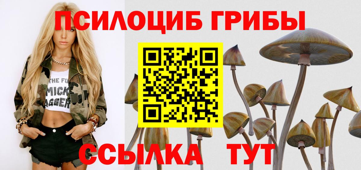 Псилоцибиновые грибы GOLDEN TEACHER Реутов